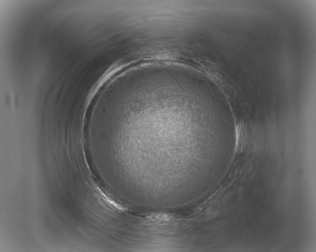 X0000080720195200612221236