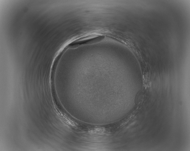 X0000080720196200612221236