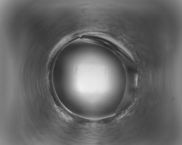 X0000080720197200612221236