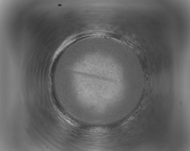 X0000080720198200612221236