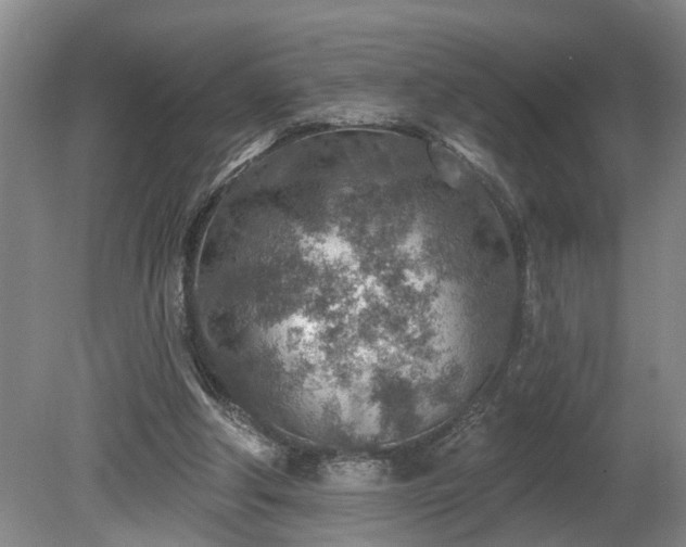 X0000080720202200612221236