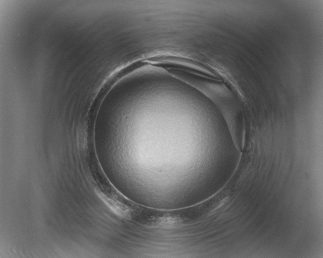 X0000080720204200612221236