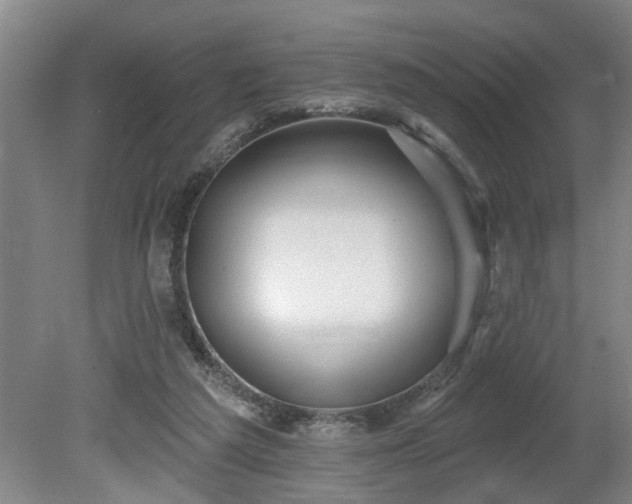 X0000080720209200612221235