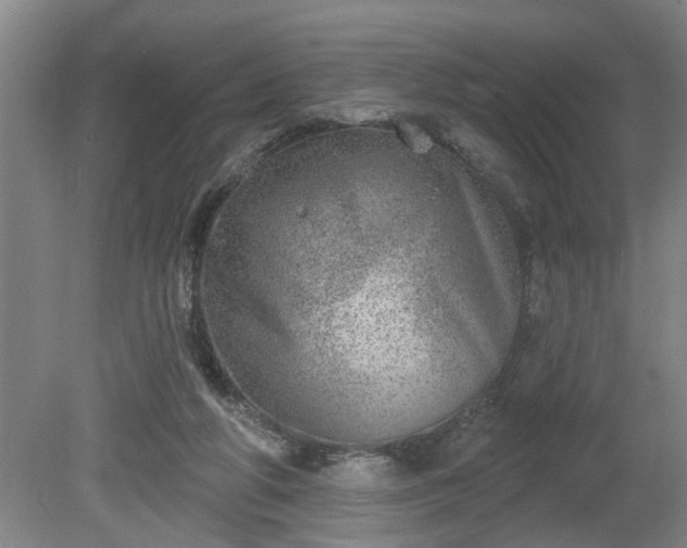 X0000080720210200612221235