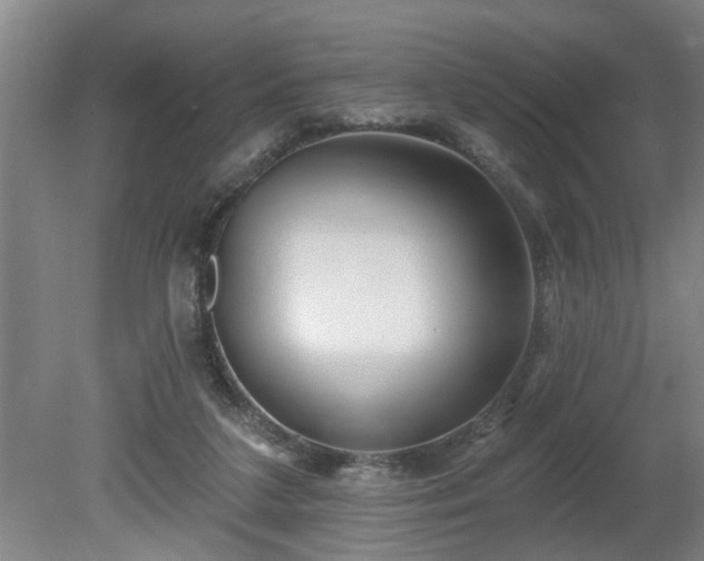 X0000080720211200612221235