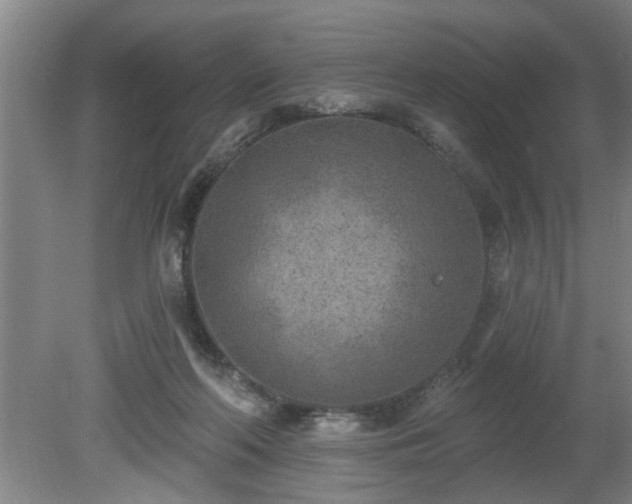 X0000080720214200612221235