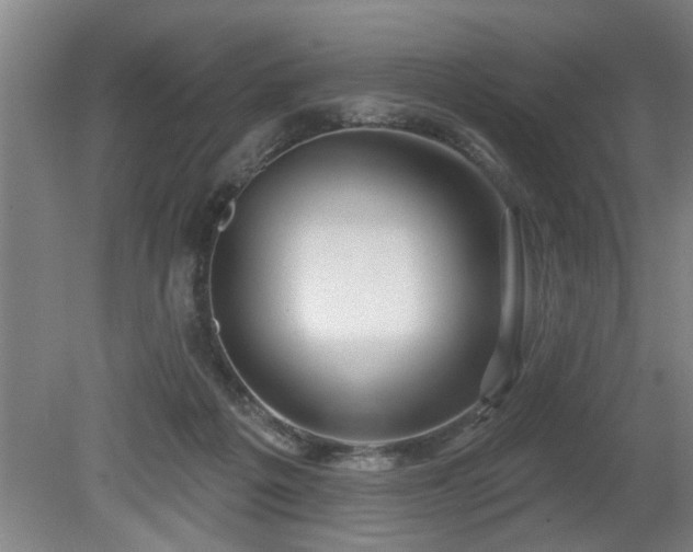 X0000080720217200612221235