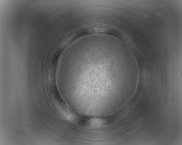 X0000080720218200612221235