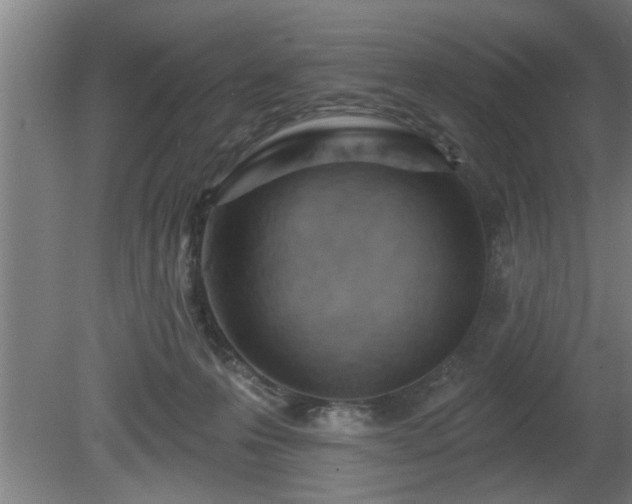 X0000080720223200612221235