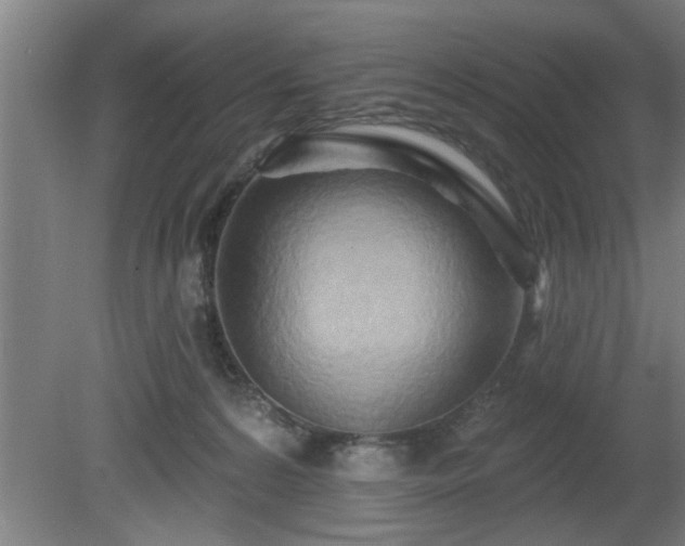 X0000080720224200612221235