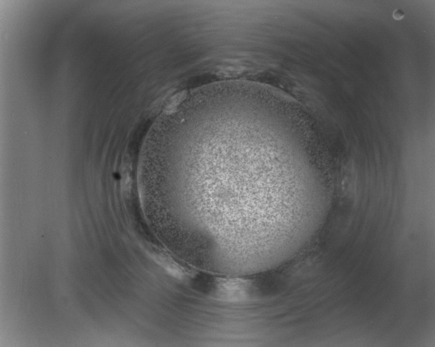 X0000080720226200612221235