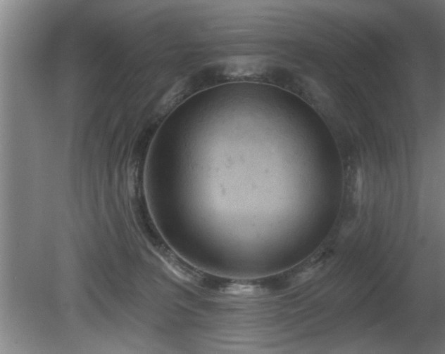 X0000080720227200612221235