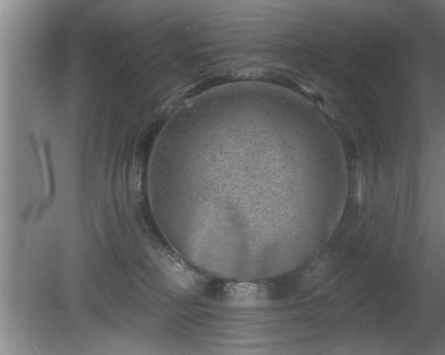 X0000080720230200612221235