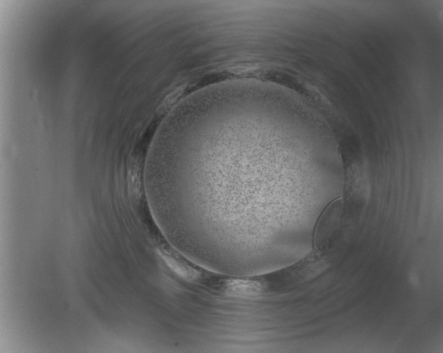 X0000080720234200612221235