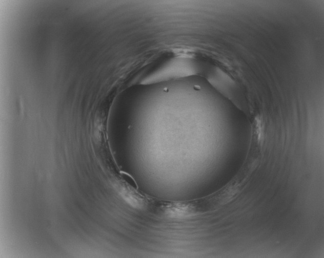 X0000080720235200612221235