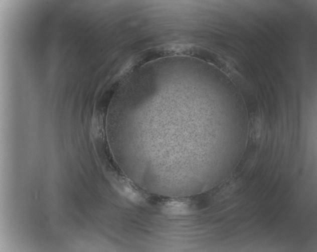 X0000080720236200612221235