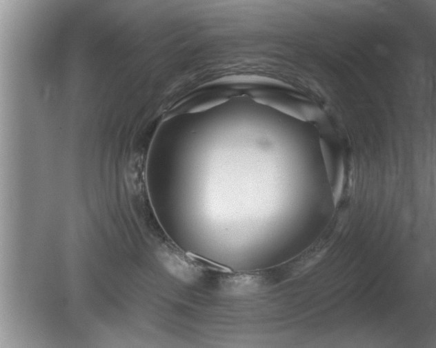 X0000080720237200612221235