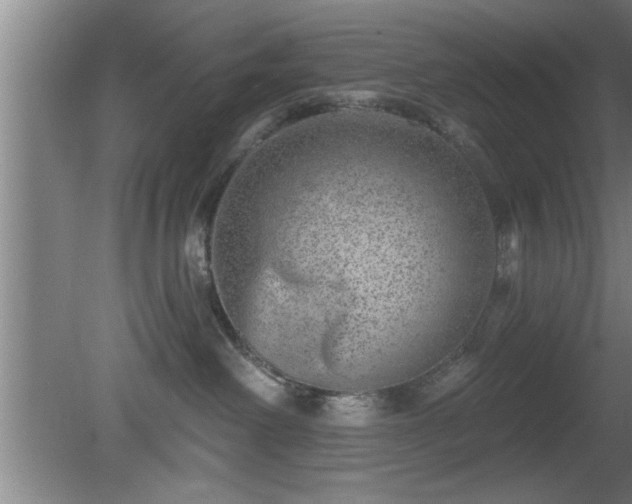 X0000080720238200612221235