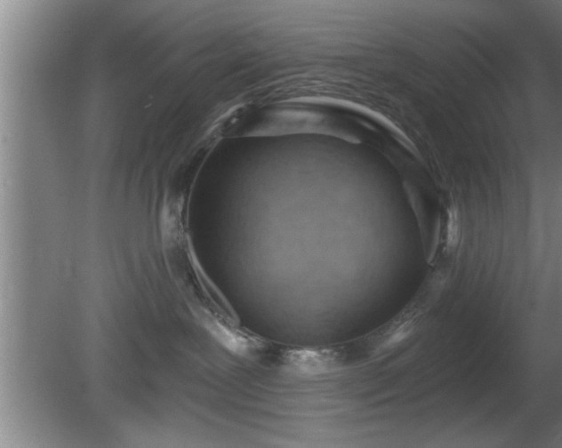 X0000080720239200612221235