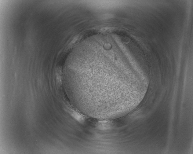 X0000080720240200612221235