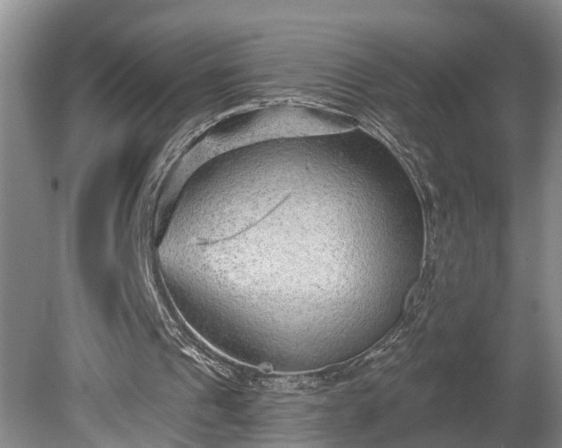 X0000080720241200612221234