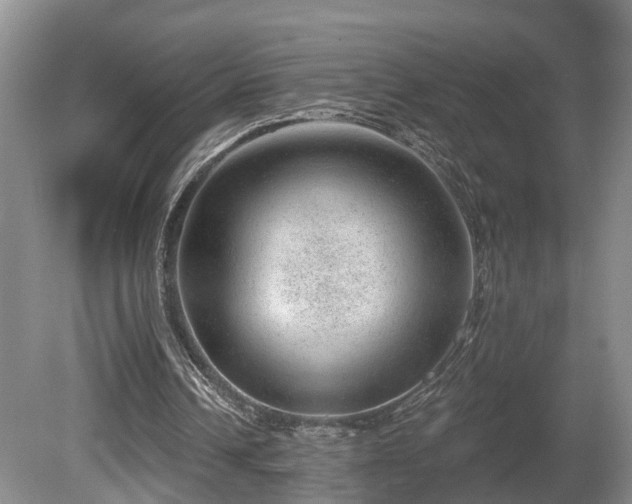 X0000080720242200612221234