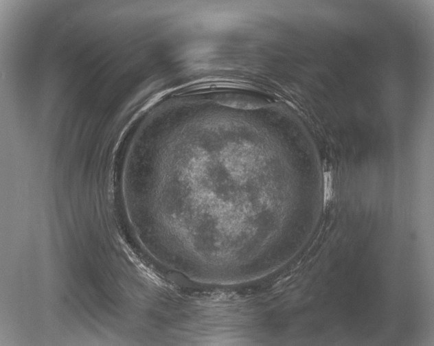 X0000080720243200612221234