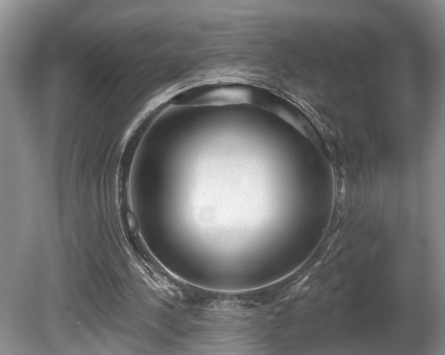 X0000080720244200612221234