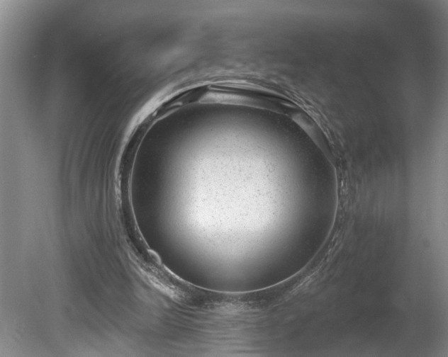 X0000080720246200612221234