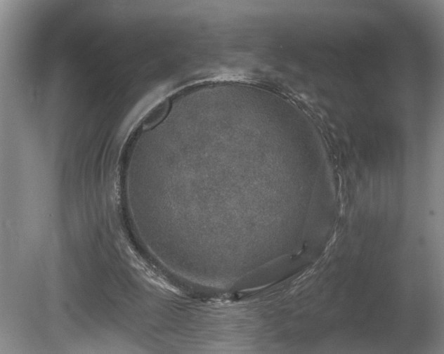 X0000080720247200612221234