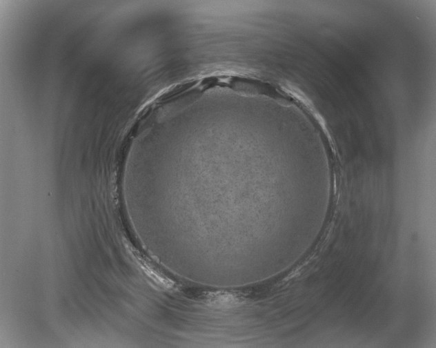 X0000080720249200612221234