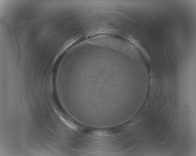 X0000080720250200612221234