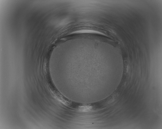 X0000080720266200612221235