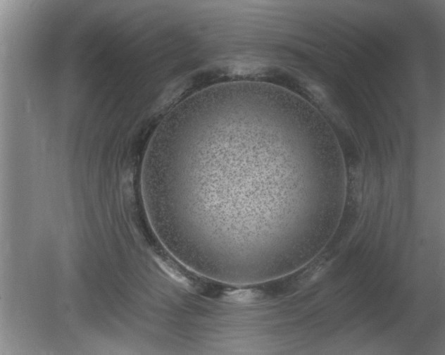 X0000080720269200612221235