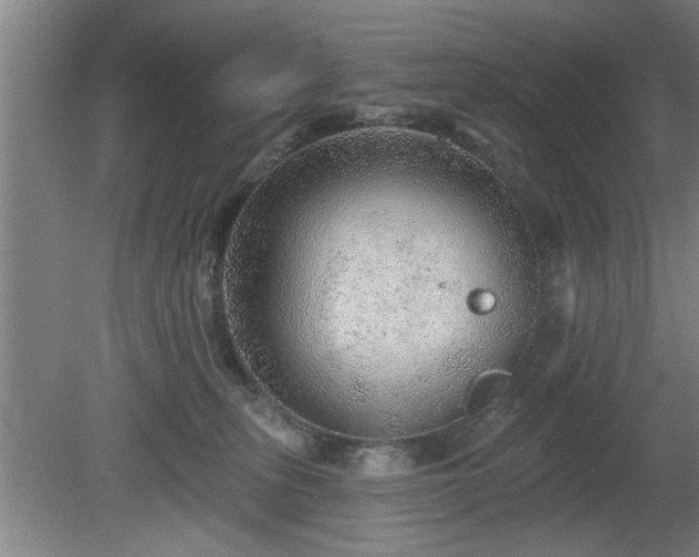 X0000080720275200612221235