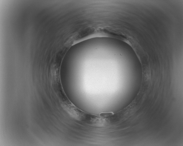 X0000080720276200612221235