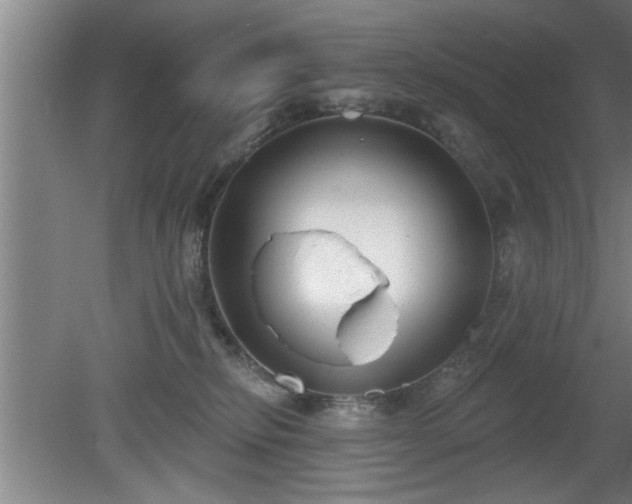 X0000080720278200612221235