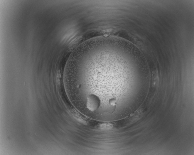 X0000080720279200612221235