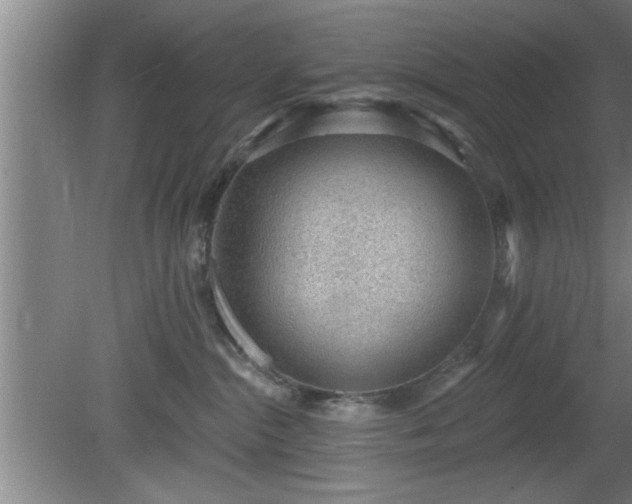 X0000080720284200612221235