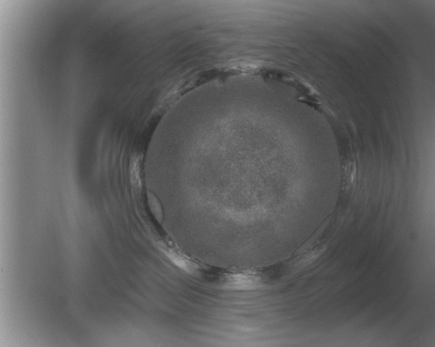 X0000080720286200612221235