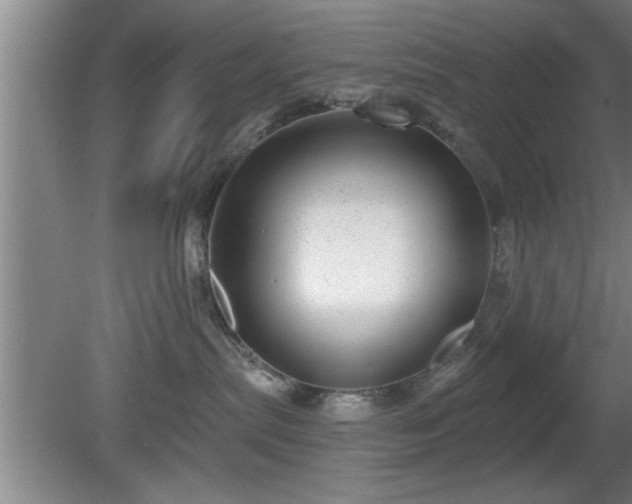 X0000080720287200612221235