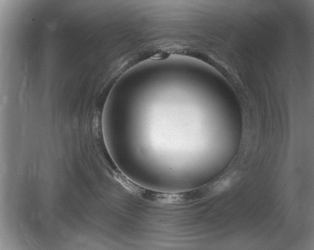 X0000080720288200612221235