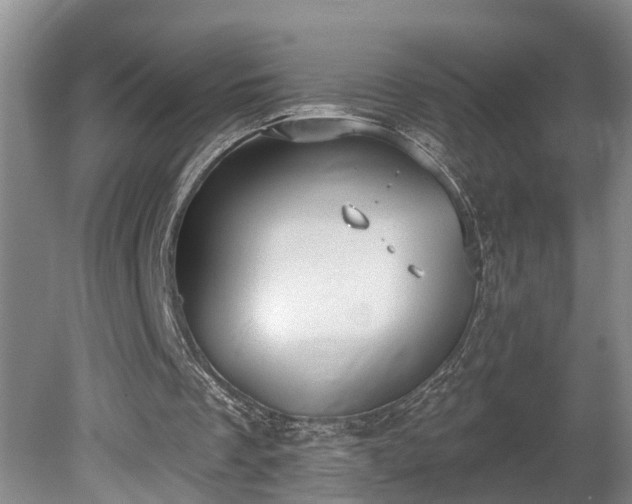 X0000080720289200612221234