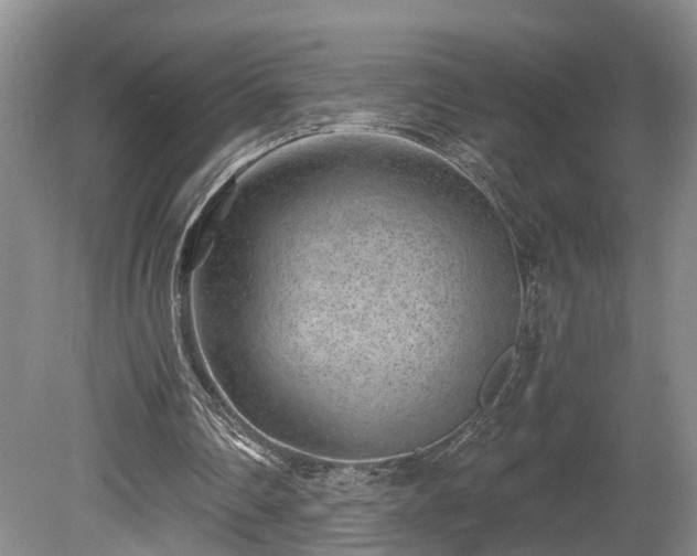 X0000080720290200612221234