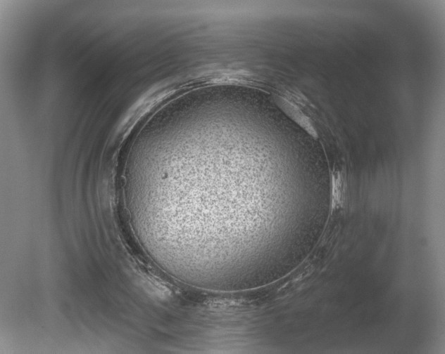 X0000080720291200612221234