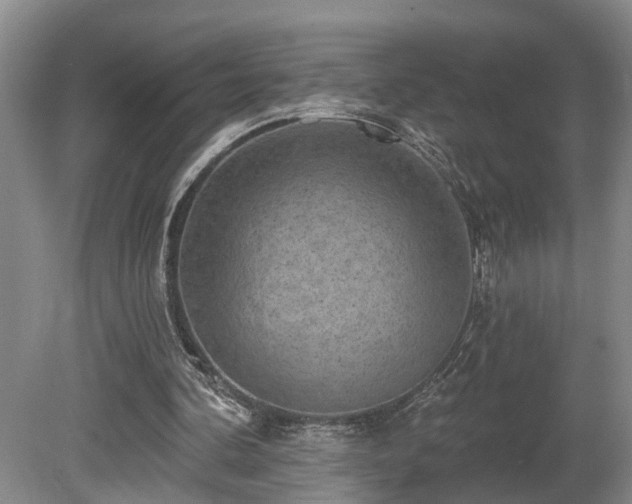 X0000080720292200612221234