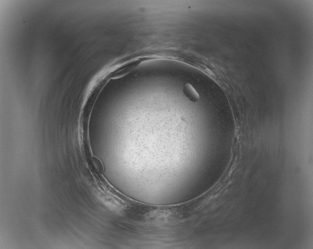 X0000080720294200612221234