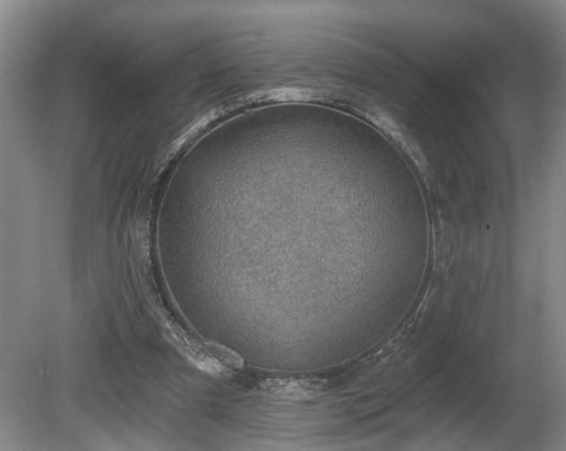 X0000080720297200612221234