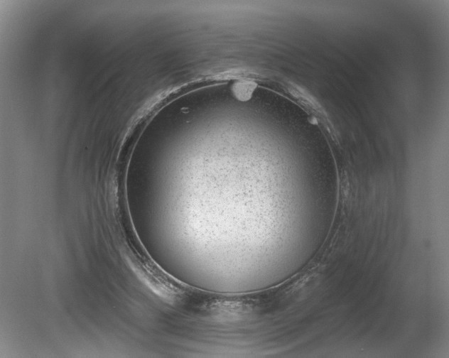 X0000080720298200612221234