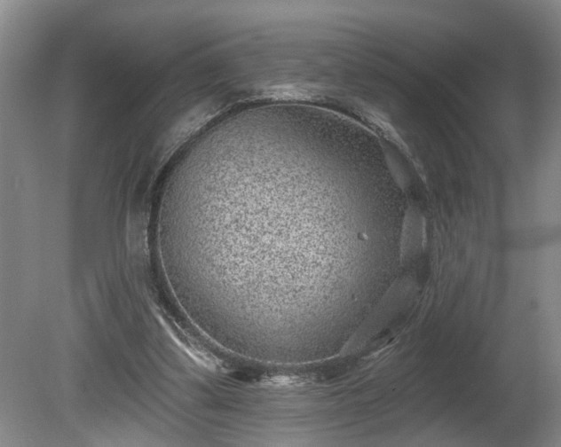 X0000080720299200612221234